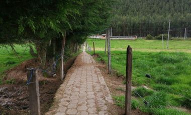 HERMOSA PROPIEDAD DE 5 HECTARES PLANAS SECTOR PAQUIESTANCIA