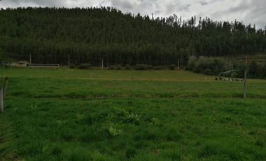 HERMOSA PROPIEDAD DE 5 HECTARES PLANAS SECTOR PAQUIESTANCIA