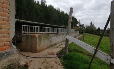 HERMOSA PROPIEDAD DE 5 HECTARES PLANAS SECTOR PAQUIESTANCIA