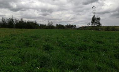 HERMOSA PROPIEDAD DE 5 HECTARES PLANAS SECTOR PAQUIESTANCIA