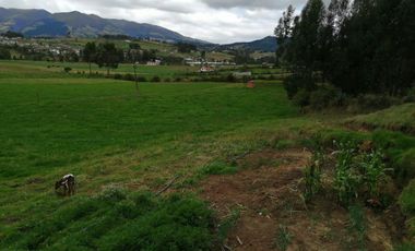 HERMOSA PROPIEDAD DE 5 HECTARES PLANAS SECTOR PAQUIESTANCIA