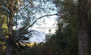 fresia n¬452 referencia propietaria/o`higgins - Local Comercial - Venta