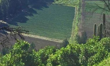 Vende Terreno Agrícola  en Sector de Naltahua, Isla  de Maipo