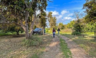 Vende Terreno Agrícola  en Sector de Naltahua, Isla  de Maipo