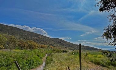 Vende Terreno Agrícola  en Sector de Naltahua, Isla  de Maipo