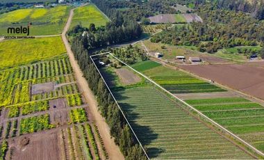 Vende Terreno Agrícola  en Sector de Naltahua, Isla  de Maipo