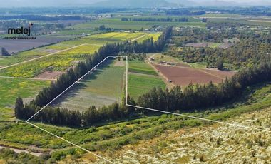 Vende Terreno Agrícola  en Sector de Naltahua, Isla  de Maipo