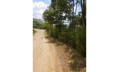 VENTA DE LOTE  EN LA BUITRERA YUMBO ID 730