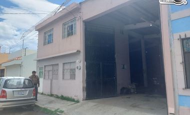 Bodega