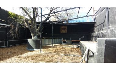 Local comercial en VENTA sobre calzada Madero