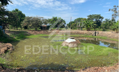 Finca en Recinto El Limonal