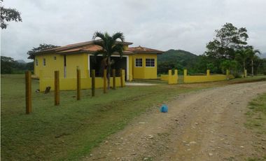 PROYECTO 35 VILLAS 10.6 HECTREAS PENONOME