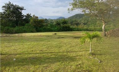 PROYECTO 35 VILLAS 10.6 HECTREAS PENONOME