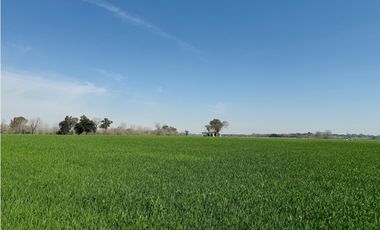 VENTA 6 HECTAREAS ZONA NEWBERY Y RUTA 12