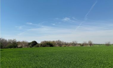 VENTA 6 HECTAREAS ZONA NEWBERY Y RUTA 12