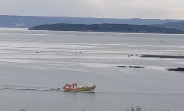 Parcela en Venta en Sector Oqueldan