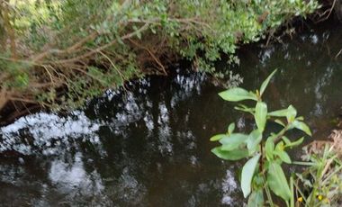 Parcela en Venta en Sector collico