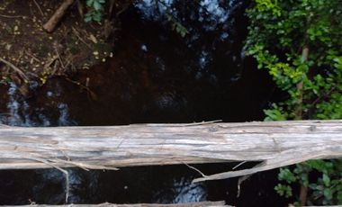 Parcela en Venta en Sector collico