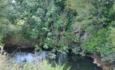 Parcela en Venta en Sector collico