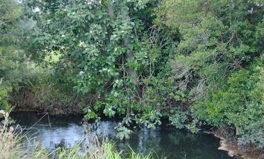 Parcela en Venta en Sector collico