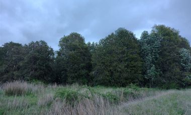 Parcela en Venta en Sector collico