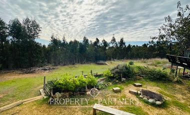 Pichilemu, Acogedora Casa en el Bosque Pangal