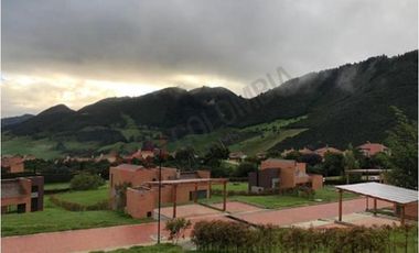 ALQUILO CASA MACADAMIA EN LA CALERA.