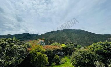 ALQUILO CASA MACADAMIA LA CALERA