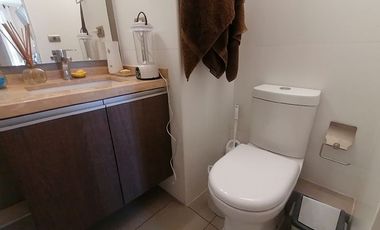 ECHEÑIQUE / HAMBURGO LINDO DEPTO