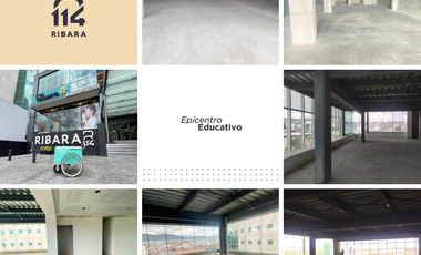 Local en renta, centro comercial Ribara 114, Zona Plateada, Pachuca