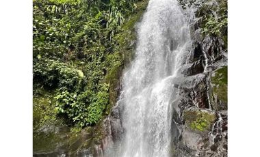 VENDO CABAÑA CON PISCINA EN ALTOS DEL MARIA 2300M2
