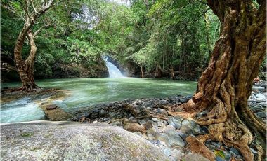 VENDO CABAÑA CON PISCINA EN ALTOS DEL MARIA 2300M2