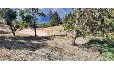 Oportunidad! Se Vende Espectacular terreno en Altos del Maria