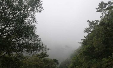 VENDO FINCA DE 5HA + EN LA INDIA VIEJA BOQUETE