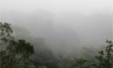 VENDO FINCA DE 5HA + EN LA INDIA VIEJA BOQUETE
