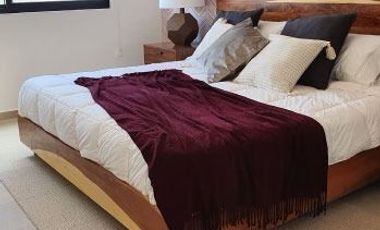 Preventa Casa Van Gogh Zirándaro SMA con roof garden E1