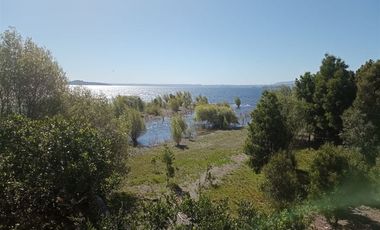Sitio en Venta en Lago Ranco / Desembocadura Río Calcurrupe