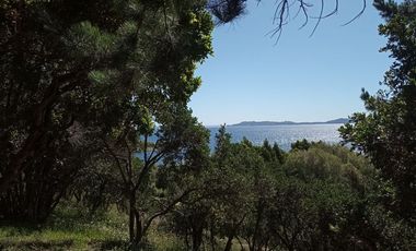 Sitio en Venta en Lago Ranco / Desembocadura Río Calcurrupe