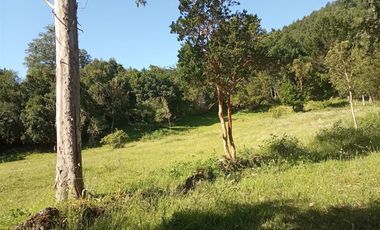 Sitio en Venta en Lago Ranco / Desembocadura Río Calcurrupe