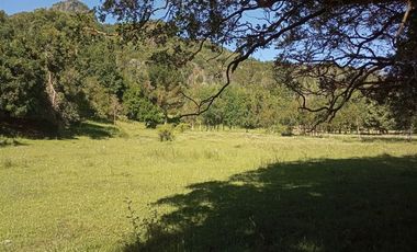 Sitio en Venta en Lago Ranco / Desembocadura Río Calcurrupe
