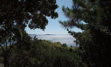 Sitio en Venta en Lago Ranco / Desembocadura Río Calcurrupe
