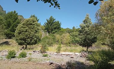 Sitio en Venta en Lago Ranco / Desembocadura Río Calcurrupe