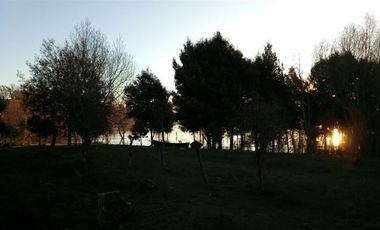 Sitio en Venta en Lago Ranco / Desembocadura Río Calcurrupe