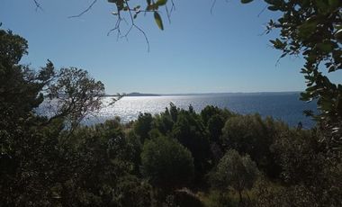 Sitio en Venta en Lago Ranco / Desembocadura Río Calcurrupe