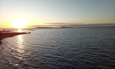 Sitio en Venta en Lago Ranco / Desembocadura Río Calcurrupe