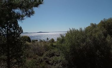 Sitio en Venta en Lago Ranco / Desembocadura Río Calcurrupe