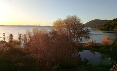 Sitio en Venta en Lago Ranco / Desembocadura Río Calcurrupe