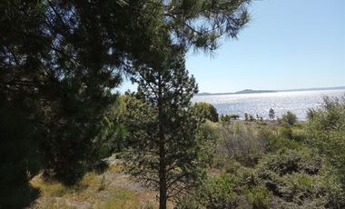 Sitio en Venta en Lago Ranco / Desembocadura Río Calcurrupe