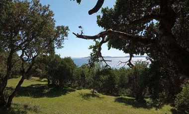 Sitio en Venta en Lago Ranco / Desembocadura Río Calcurrupe