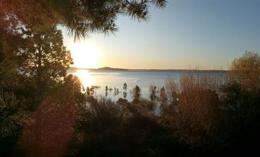 Sitio en Venta en Lago Ranco / Desembocadura Río Calcurrupe